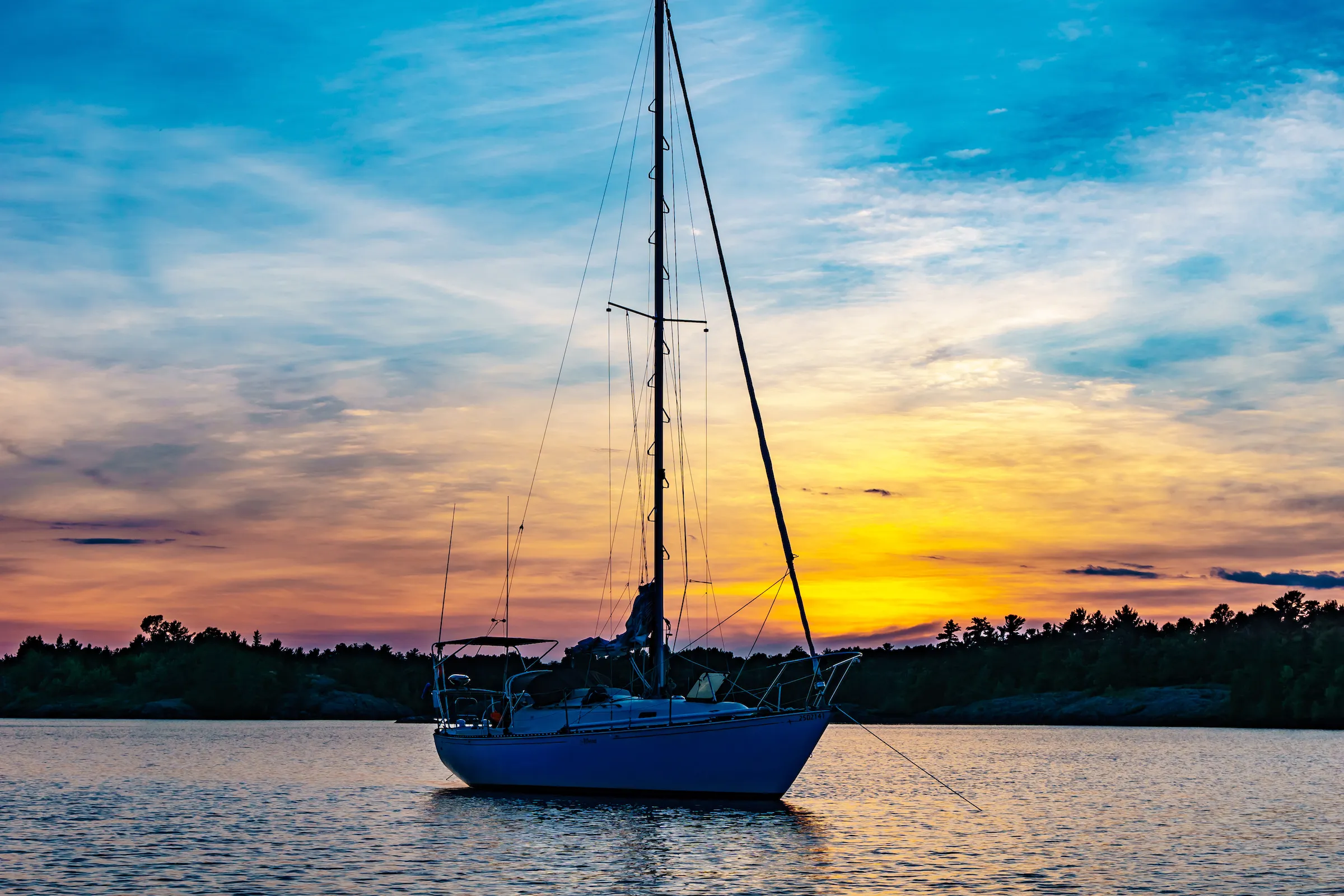 Two Weeks in Review - August 20, 2017